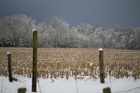 Landscape of dark sky in winter