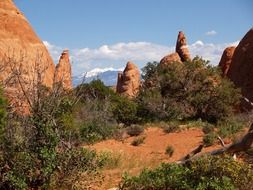 devil's garden in national park