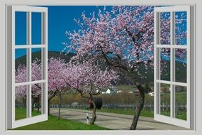 spring trees window panorama