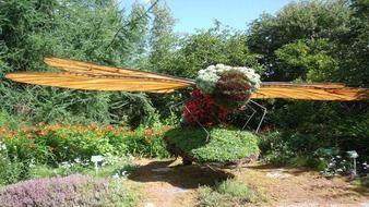 dragonfly of plants and flowers in the garden