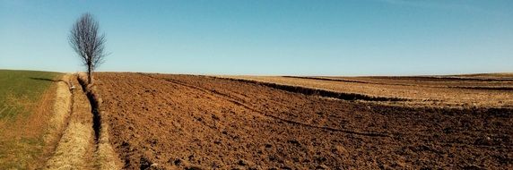 Landscape of the Empty fields
