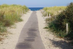 wooden path through the beach to the water