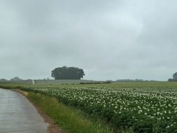 belgium countryside landscape with clouds and rain, belgium