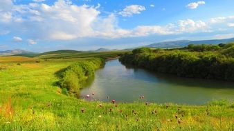 small river with spring flowers landscape