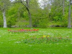 beautiful and delightful denmark landscape