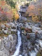 waterfall among autumn trees