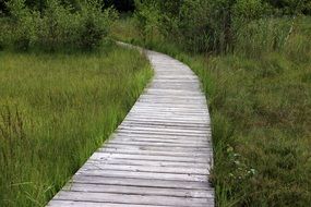 wooden track path in meadow