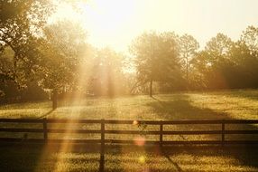 Sunbeams in the morning over the fence