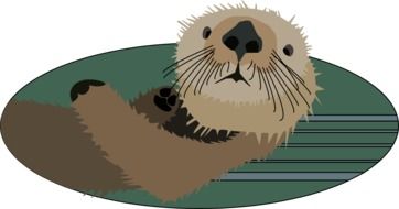 otter looking from water, drawing