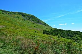 green bieszczady mountains at summer, poland