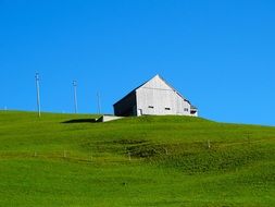 wood barn on a green meadow