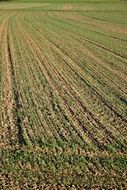 field arable landscape