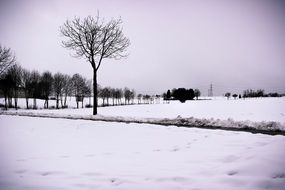 gloomy winter landscape