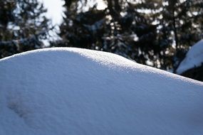 snowdrift in a winter forest