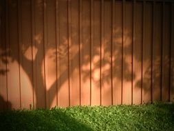 shadow of trees on a fence in the garden