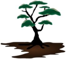 drawing of a tree on the brown soil