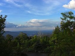 australia scenic landscape forest and clouds