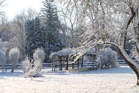 peaceful winter garden landscape