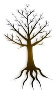roots tree drawing