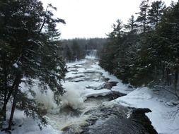 stream in winter forest