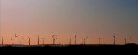 Wind turbines on a field at dusk