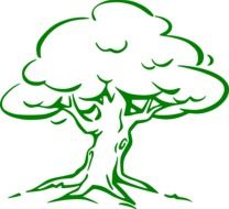 oak tree green forest nature eco