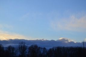 dark blue clouds above trees silhouettes