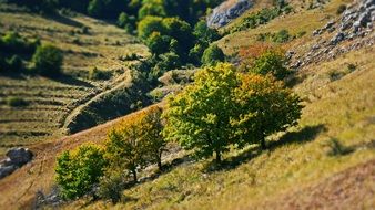 Autumnal nature on a hills