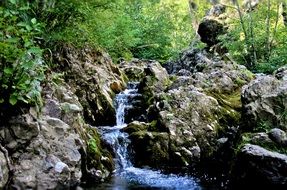 photo of a cascade of wild stream in the forest