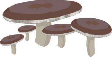 clipart of the mushrooms