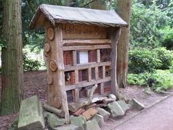 wooden bee hotel in park scene