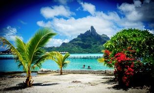 tropical landscape of Bora Bora
