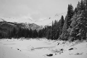 snow frozen lake pine trees mountain