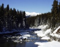 creek in the Canadien Rockies