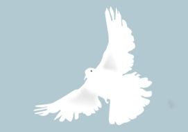 painted white dove on a blue background