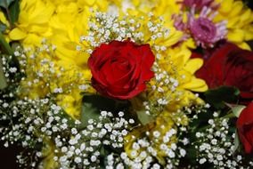 beautiful flower bouquet macro