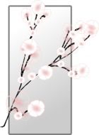 drawing blooming tender cherry