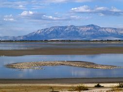 great salt lake utah usa