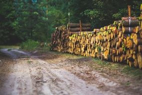 firewood on the roadside