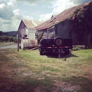 beautiful and delightful farm
