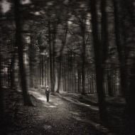 woman at forest, gloomy mood