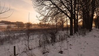 blerick aan de maas winter landscape