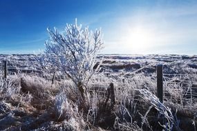 blue frost rural scenery