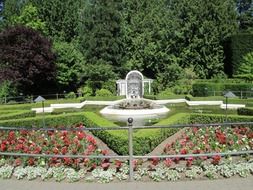 star pond in the botanical garden