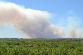 Picture of the wildfire