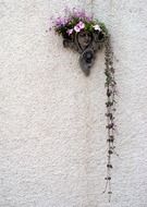 decorative flower pot on the wall