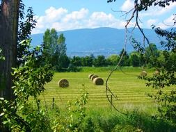 farmland among a picturesque landscape on a sunny day