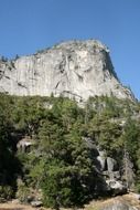 forest at granite mountains, usa, california, yosemite national park