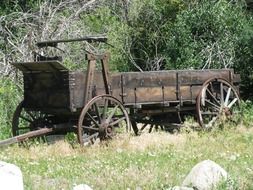 old wooden wagon in the wild west