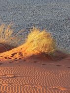 sand dunes in desert of namibia